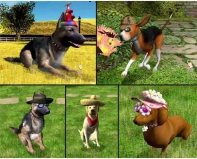 Alt view image 6 of 9 - Fetch! -  Play, Train & Compete