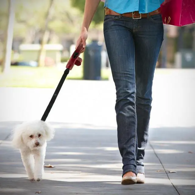 Alt view image 6 of 6 - PAW Bio 16FT Retractable Pet Dog 110LB Leash with Green Pick-up Bags Red