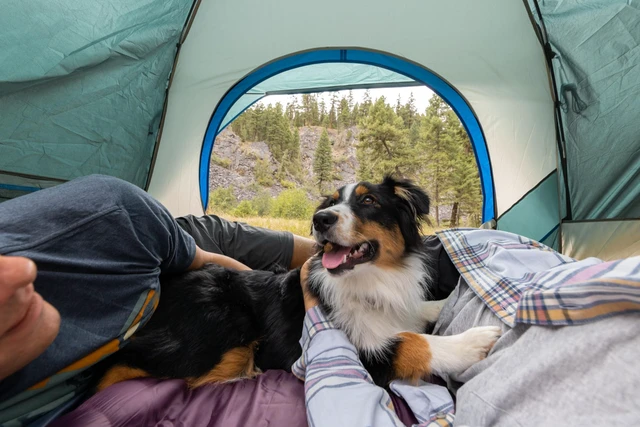 Alt view image 2 of 7 - Coleman 4-Person Skydome Camping Tent - Evergreen