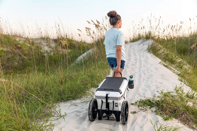 Alt view image 5 of 9 - Cooler Cart