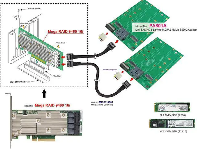 Alt view image 4 of 6 - MINI SAS HD 8x to M.2 SSD x2 for Broadcom MegaRAID and HBA Tri-Mode