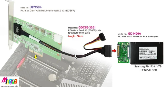 Alt view image 3 of 7 - PCIe 4.0 Gen-Z 1C (EDSFF) to U.2 Cable, 50cm & U.2 (SFF-8639) Male PCIe Gen 4 to U.2 Female Adapter KIT