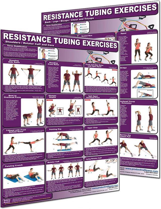 Poster- Resistance Tubing - Back/Legs/Biceps/Chest & Triceps – The  Treadmill Factory