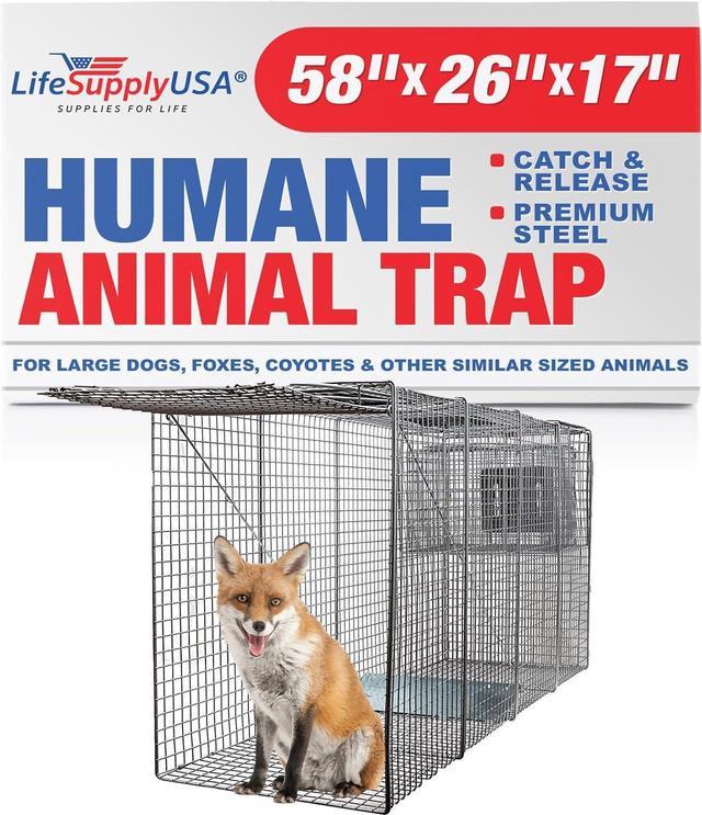 Dog trap cage best sale