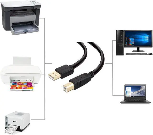 Alt view image 6 of 6 - Printer Cable 5 feet NC XQIN Gold-Plated USB Printer Cable Cord Type A-Male to B-Male Printer USB Cable for Printer/Scanner