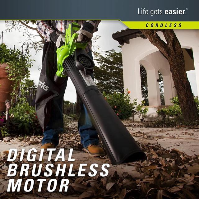 Greenworks 40V 185 MPH Variable Speed Cordless Leaf Blower/Vacuum, Battery  Not Included 24312