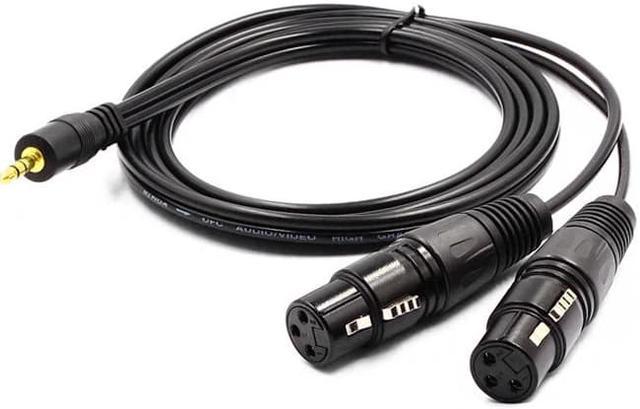 1/8 Inch to Dual XLR Male Y-Splitter Cable,Unbalanced 3.5mm Mini