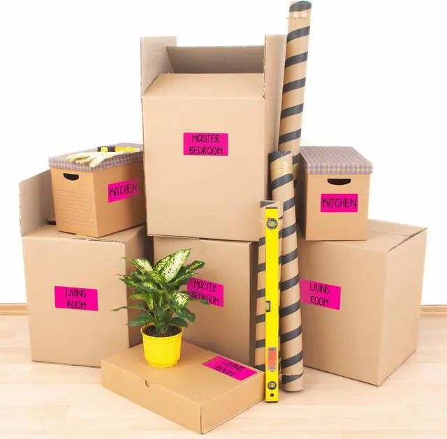 Alt view image 4 of 15 - Avery Neon Shipping Label Laser 2 x 4 Neon Magenta 1000/Box 5974