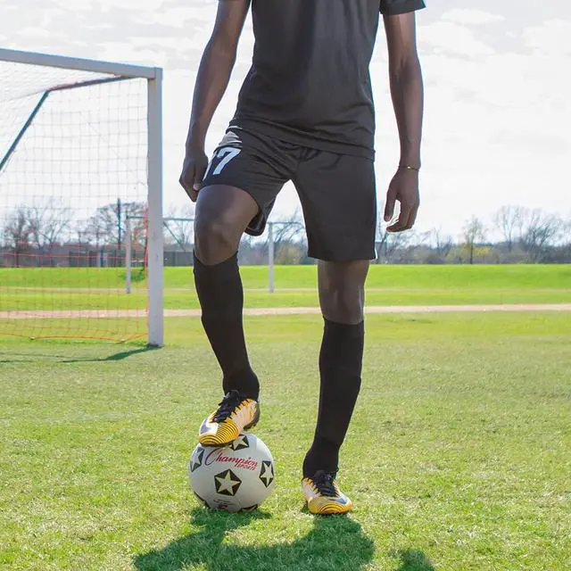 Alt view image 9 of 11 - CHAMPION SPORTS CHAMPION SOCCER BALL NO 5