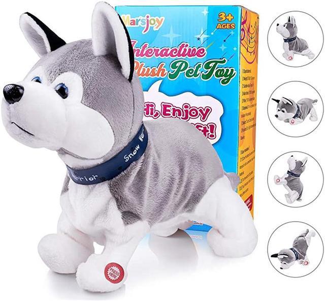 Robotic Toys in Electronic Pets, Robots & Toys 
