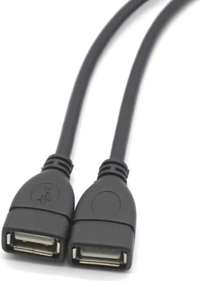 Alt view image 6 of 7 - Weastlinks 45CM 10 Pin Motherboard Female Header to 2 Port Dual USB 2.0 Male Adapter Dupont Y Splitter Cable (10Pin/2AM)