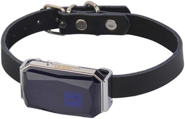 Dog belt 2025 with gps