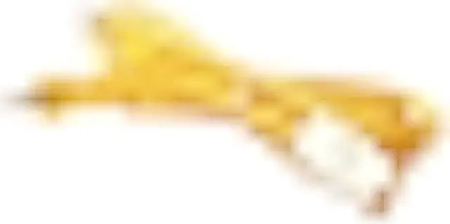Alt view image 2 of 4 - B&P Lamp® 8 Foot Clear Gold Cord Set with Inline Rotary On-Off Switch, SPT-1 Cord Size