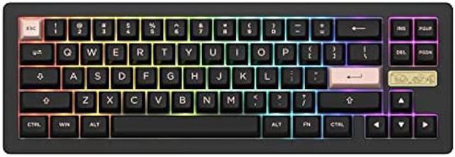 Akko ACR Pro 68 Hot-swappable Mechanical Gaming Keyboard, 65 Percent 68-Key  RGB Backlit Keyboard with Crystal Switch 