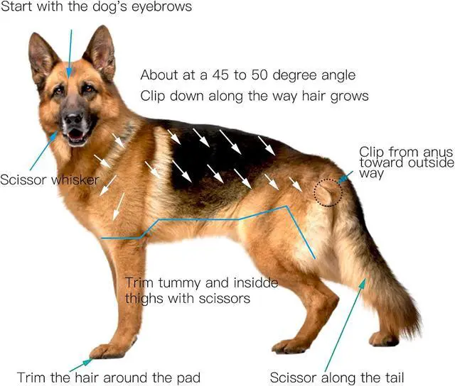 Alt view image 7 of 7 - Dogs Hair Trimmer, Dogs Shaver Clippers Grooming Kit - Low Noise Cordless Rechargeable Dog & Cat Horses Clippers, Heavy Duty, Quie