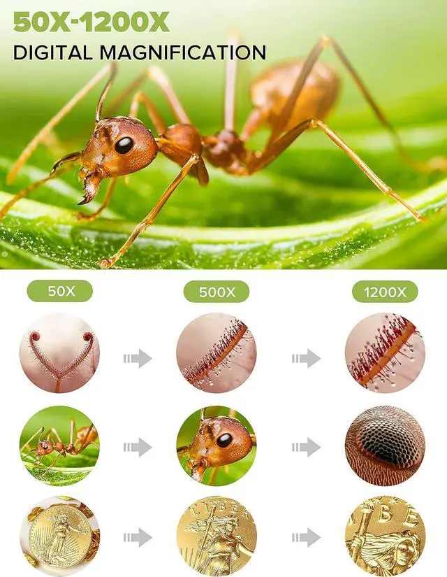 Alt view image 3 of 7 - LCD Digital Microscope ANNLOV 1200X Maginfication 1080P Coin Microscope with Metal Stand,12MP Ultra-Precise Focusing Video Camera for Kids Adults,8 LED Fill Lights Windows/Mac Compatible