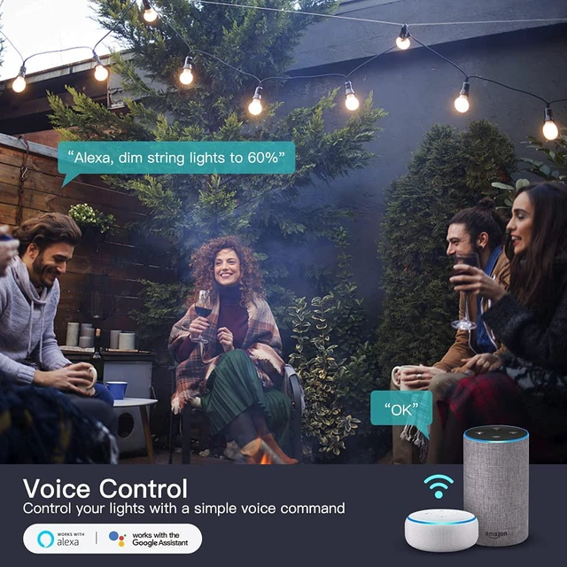 Alt view image 4 of 7 - 2 in 1 Outdoor Smart Dimmer Plug, 2 Individual Control Sockets, 600W, Compatible with Alexa, Google Home, IP64 Dimmer for Outdoor String Lights, Dusk to Dawn, 2.4GHz WiFi Only