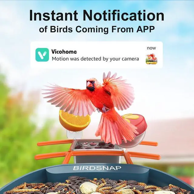 Alt view image 2 of 7 - PAV - Smart Bird Feeder with Camera, 5 DIY Add-ons & 64GB Card Record Bird Video Bird House for Outside, AI Identify Bird Auto Capture with Solar Panel, Ideal Gift for Bird Lover, Blue