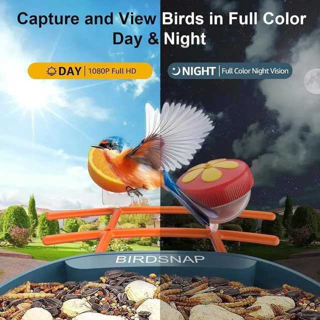 Alt view image 4 of 7 - PAV - Smart Bird Feeder with Camera, 5 DIY Add-ons & 64GB Card Record Bird Video Bird House for Outside, AI Identify Bird Auto Capture with Solar Panel, Ideal Gift for Bird Lover, Blue
