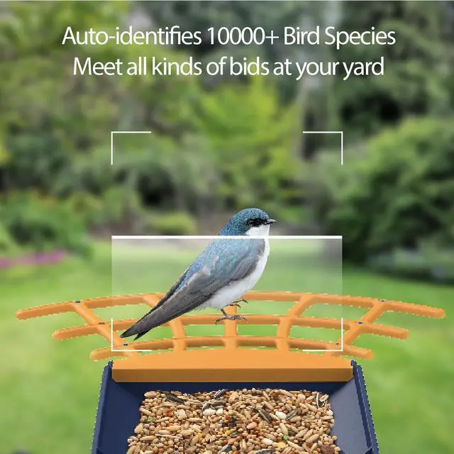 Alt view image 3 of 7 - Smart Bird Feeder with Camera, AI Identify Bird Feeder Camera with Solar Pannel, Auto Capture Bird Full HD Videos & Instant Notification, Ideal Present for Bird Lovers