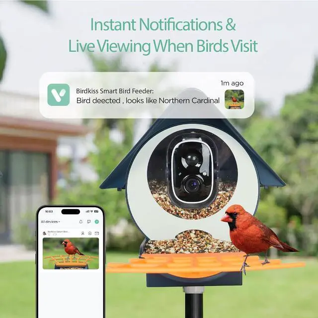 Alt view image 2 of 7 - Smart Bird Feeder with Camera, AI Identify Bird Feeder Camera with Solar Pannel, Auto Capture Bird Full HD Videos & Instant Notification, Ideal Present for Bird Lovers