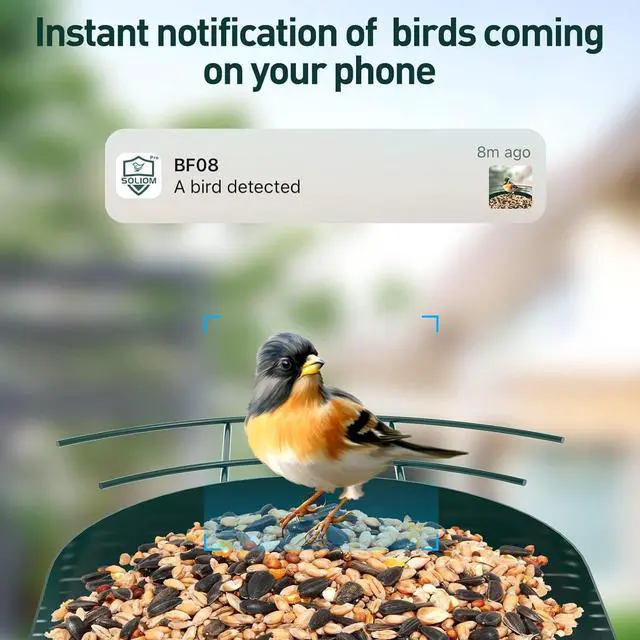 Alt view image 2 of 5 - BF08- Metal Solar Bird Feeder Camera with AI Identify Bird Species, Wild Bird Watching Cam, Live View, Instant Notifications with 5W Solar Panel