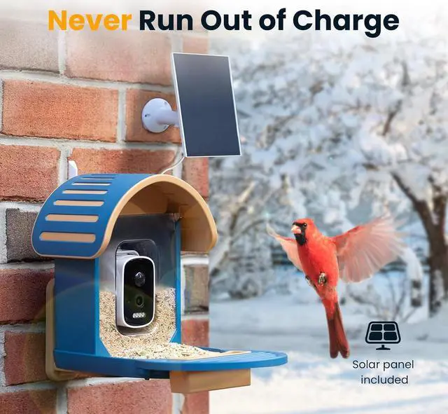 Alt view image 5 of 7 - Bird Feeder with Camera Solar Powered, Smart Bird Feeder Camera AI Identifies 11,000+ Bird Species, Auto-Capture 2.5K UHD Bird Video, IP66 Waterproof Outdoor Bird Feeder, Ideal Gift, Blue