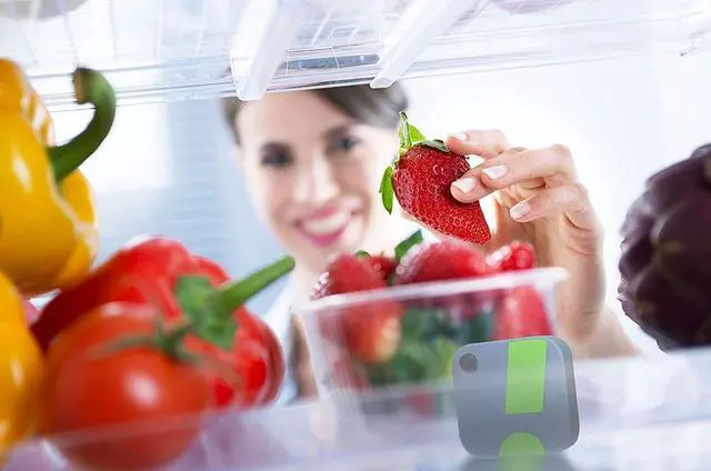 Alt view image 7 of 7 - HT1 Wireless Digital Thermometer/Hygrometer for iPhone/Android. USA Developed and Supported Humidity/Temperature/Dewpoint/VPD Monitor/Logger. Indoor/Outdoor Smart Sensor with Alerts