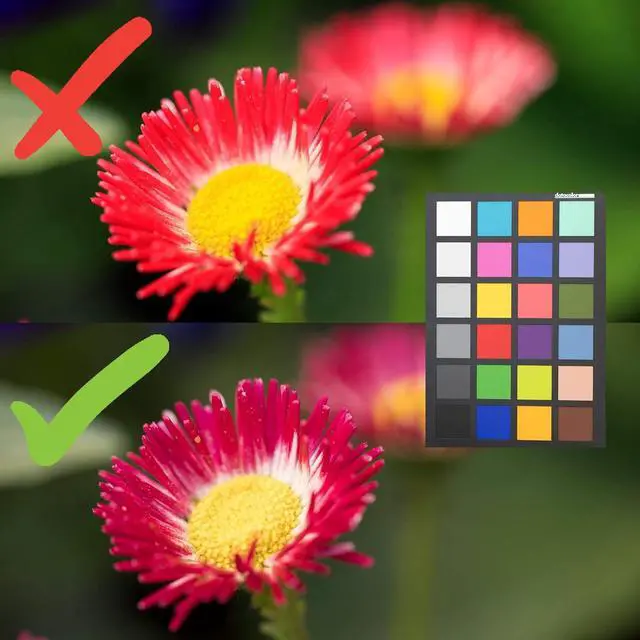 Alt view image 6 of 7 - SpyderCHECKR 24 - Color calibrate your camera for consistent image color across multiple camera systems/lighting conditions. Target color chart has 24 target colors + grey card.