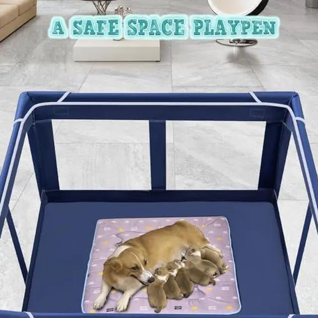 Alt view image 4 of 6 - 42x42x26 Inches Puppy Playpen with Top Cover, Dog Playpen for Small or Puppy, DogFence Pet Playpen for Indoor & Outdoor, Sturdy Safety Dog Pen with Durable Mesh Windows, Blue