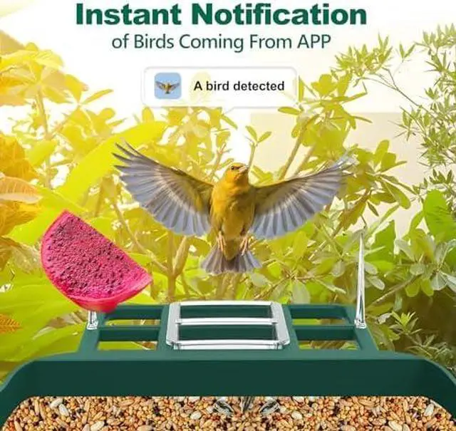 Alt view image 2 of 6 - Bird Feeder with Camera,Smart Birdwatching Camera with Solar Powered,AI Identify Species,Instant Notifications,FHD Live View,Auto Record Video in Backyard,Ideal Gifts for Family and Bird Lovers