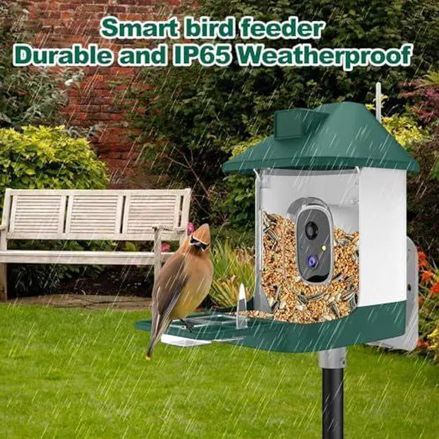 Alt view image 4 of 6 - Bird Feeder with Camera,Smart Birdwatching Camera with Solar Powered,AI Identify Species,Instant Notifications,FHD Live View,Auto Record Video in Backyard,Ideal Gifts for Family and Bird Lovers