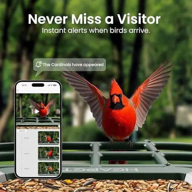 Main image of Smart Bird Feeder with Camera Solar Powered 1080P HD Video, 10,000+ Species AI Recognition, Real-Time App Alerts, and Weatherproof Design for Effortless Birdwatching, Gift for Bird Lovers, Brown