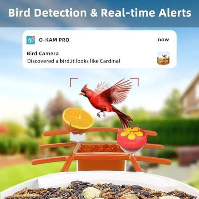 Alt view image 3 of 6 - Smart Bird Feeder with Camera, 2.4G/5G WiFi, 2.5K Video Birds Feeder with Solar Panel, AI Identify, Live View, Capture Bird Video, Instant Arrival Alerts, Ideal Gift for Father's Day
