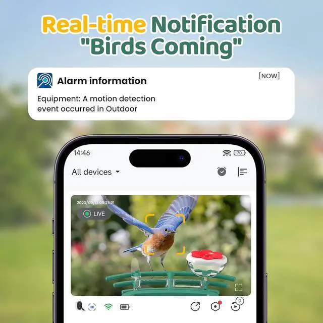 Alt view image 2 of 7 - Bird Feeder with Camera Outdoor Solar: Smart Birdfeeder with AI Recognition - 2K HD Live Stream Video Camera for Outside Wild Birds Garden Decor - Bird Lover Gifts