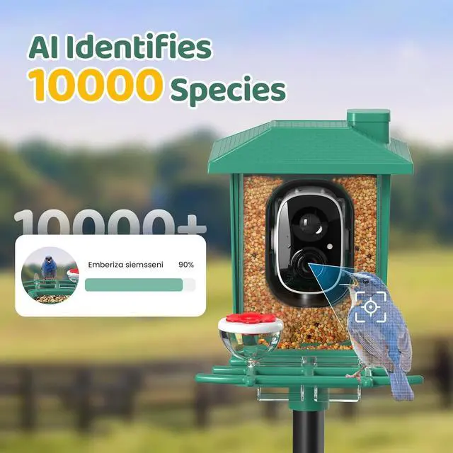 Alt view image 3 of 7 - Bird Feeder with Camera Outdoor Solar: Smart Birdfeeder with AI Recognition - 2K HD Live Stream Video Camera for Outside Wild Birds Garden Decor - Bird Lover Gifts