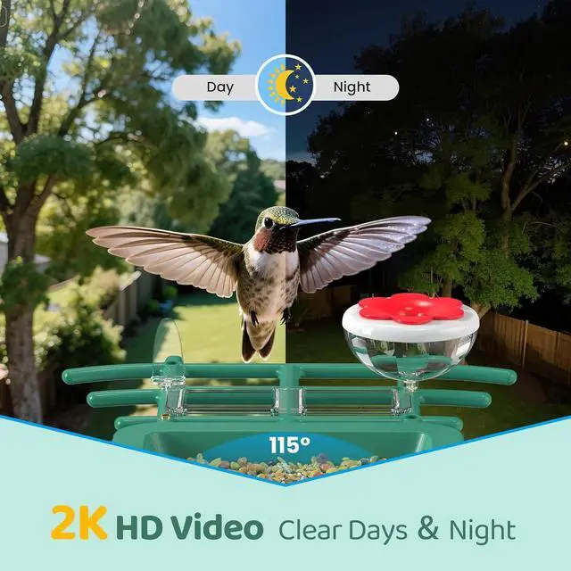 Alt view image 4 of 7 - Bird Feeder with Camera Outdoor Solar: Smart Birdfeeder with AI Recognition - 2K HD Live Stream Video Camera for Outside Wild Birds Garden Decor - Bird Lover Gifts