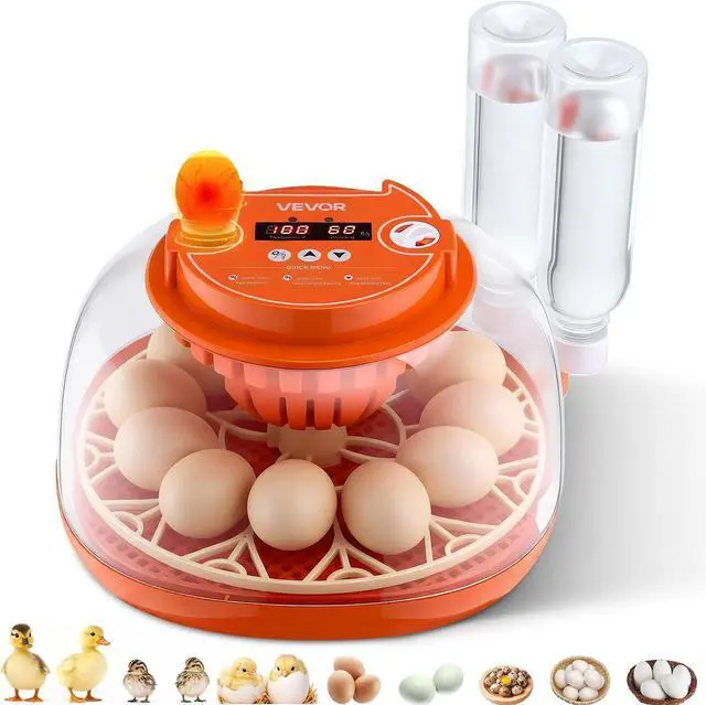 Main image of 12 Egg Incubator, Automatic Egg Turner with LED Candler, Temperature & Humidity Control, 360° View Clear Window, Poultry Eggs Incubator for Home Farm, Hatching Chicks Ducks Goose Quail