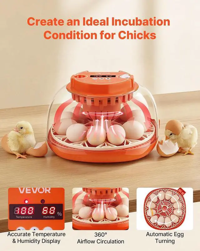 Alt view image 2 of 7 - 12 Egg Incubator, Automatic Egg Turner with LED Candler, Temperature & Humidity Control, 360° View Clear Window, Poultry Eggs Incubator for Home Farm, Hatching Chicks Ducks Goose Quail