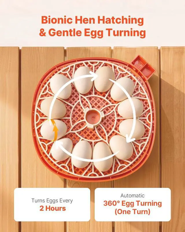Alt view image 4 of 7 - 12 Egg Incubator, Automatic Egg Turner with LED Candler, Temperature & Humidity Control, 360° View Clear Window, Poultry Eggs Incubator for Home Farm, Hatching Chicks Ducks Goose Quail