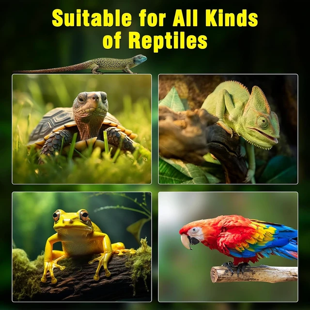 Alt view image 5 of 6 - 2-Pack Reptile Heat Lamp Guard with 150W E26 Ceramic Holder & Anti-Scald Mesh Cage, On/Off Button