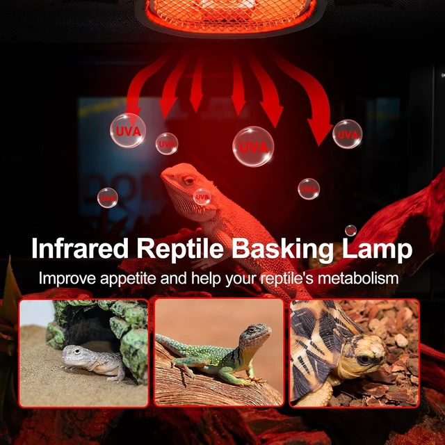 Alt view image 2 of 7 - G9 Reptile Infrared Heat Lamp Combo Kit, 50W UVA Basking Red Bulb & Low-Profile Tank Hood