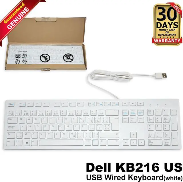 Main image of Dell KB216 Wired Keyboard QWERTY French-Canadian Chiclet Multimedia USB Wired White 1PJRJ