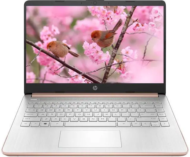 Main image of HP 14" Touchscreen Laptop, Intel Dual-Core N4020, 8GB RAM, 192GB Storage(64GB eMMC+128GB Micro SD), Webcam, 1Yr Office w/Accessories(Rose Gold)