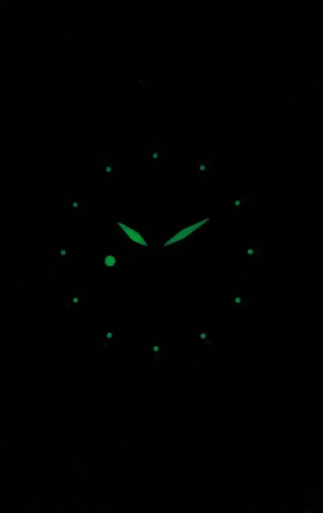 Alt view image 15 of 19 - Seiko #SNK809K1