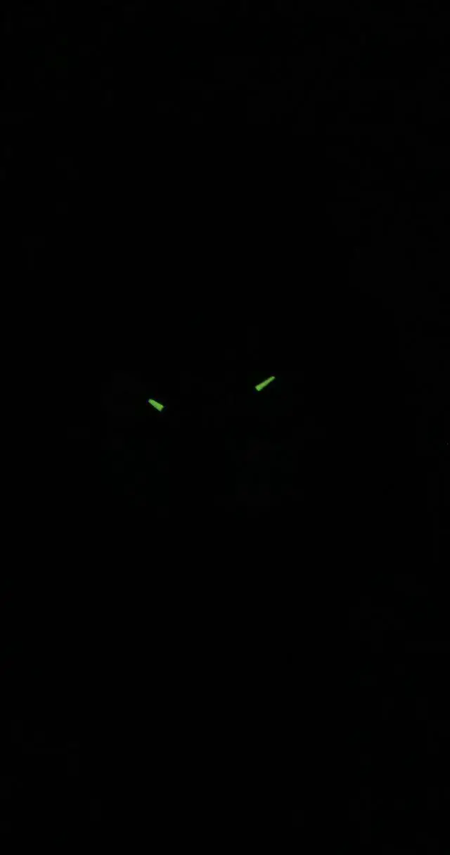 Alt view image 2 of 5 - Casio G-Shock Black Dial Quartz Sports 200M Men's Watch GA-100TU-1A3