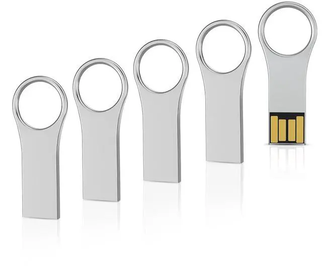 Main image of RAOYI 5 Pack 64GB Metal Key Shape USB Flash Drive, USB 2.0 Memory Stick Thumb Drives Jump Drive for PC Laptop Desktop Computer-Silver