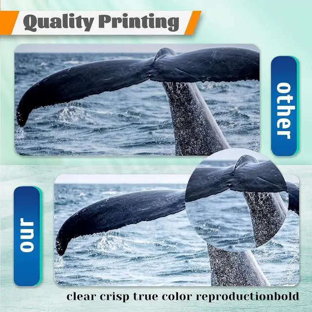 Alt view image 5 of 7 - Compatible for C710DN Drum Unit Replacement for OKI C710 C710DN C711N C711DN C711DTN Printer Cyan