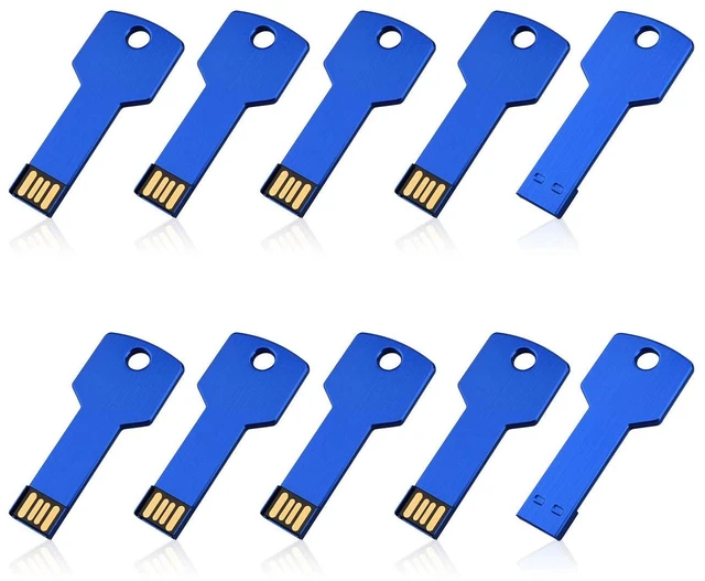 Main image of RAOYI 10 Pack 32GB USB Flash Drive USB 2.0 Metal Key Shape Memory Stick Thumb Drive Pen Drive-Blue