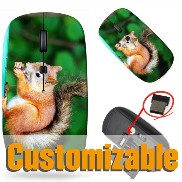 Alt view image 5 of 5 - maizi Laptop Mouse for Laptop Chromebook Computer, Laptop Mice 21711239 Squirrel Eating a del 2.4G USB Receiver Portable Printed in USA